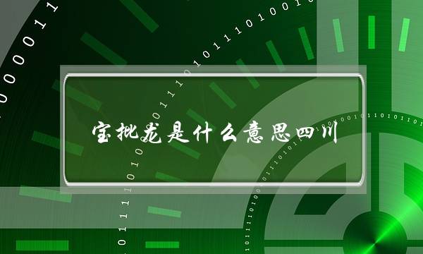 宝批龙是什么意思四川(我当宝批龙,你当猪儿虫)