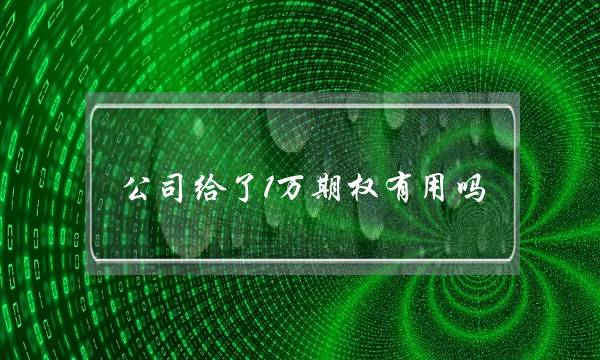 公司给了1万期权有用吗(公司给了30万期权有用吗)