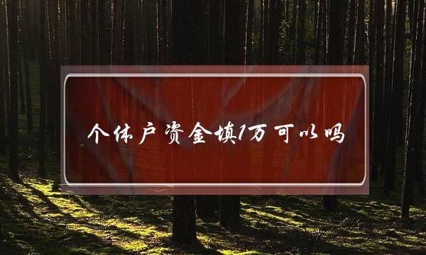 个体户资金填1万可以吗(个体户营业额填1万可以吗)