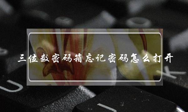 三位数密码箱忘记密码怎么打开(000到999的全部密码)