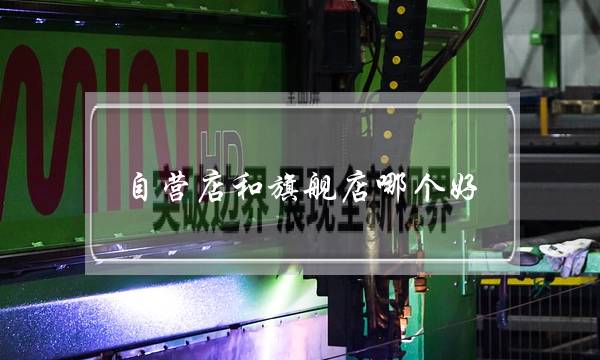 自营店和旗舰店哪个好(官方和自营哪个更好呢)