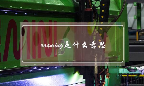 roaming是什么意思(电脑里的roaming是什么意思)