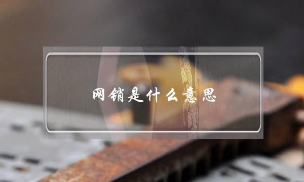 网销是什么意思(网销每天需要怎么做)