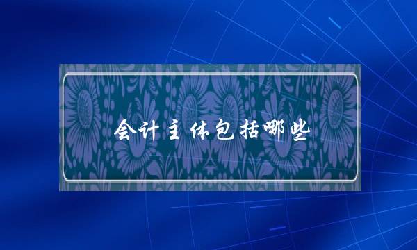 会计主体包括哪些(会计的基本常识)