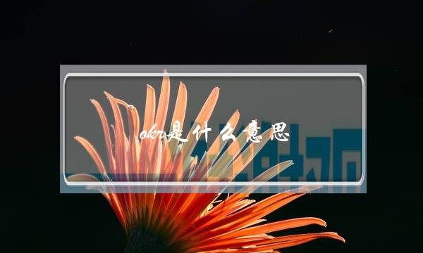 okr是什么意思(okr绩效考核方法)