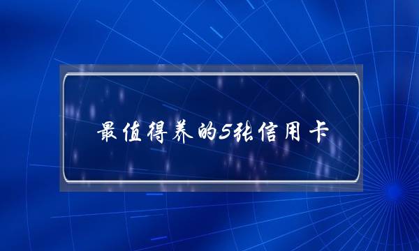 最值得养的5张信用卡(最容易批的信用卡)